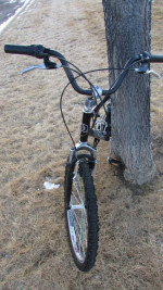 DiamondBack Wildwood CM