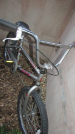 Mid-School Raleigh MXR Pro
