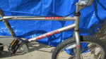 Mid-School Raleigh MXR Pro