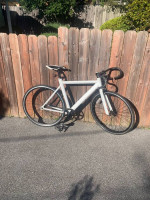 Single speed/ Fixed Gear/ Fixie Bike