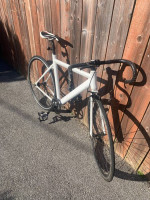 Single speed/ Fixed Gear/ Fixie Bike