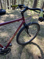 Wright cycle custom bike