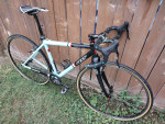 Felt Breed SSCX 50CM