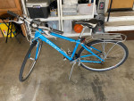 Trek Bike maintained