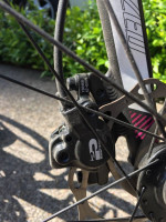 Specialized Vita Sport Disc EQ - Size: XS