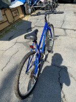 BIANCHI TIMBER WOLF BLUE MOUNTAIN BIKE 21 SPEED EXCELLENT CONDITION