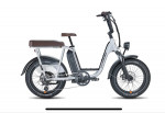 Rad electric utility bike original owner