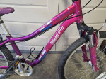 Specialized Hotrock 24" Youth mountain bike
