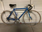 Vintage schwinn rd bike
