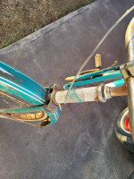 Rollfast cruiser