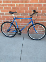 Bianchi mountain bike, good condition