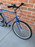 Bianchi mountain bike, good condition