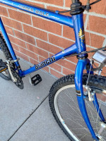 Bianchi mountain bike, good condition