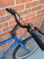 Bianchi mountain bike, good condition