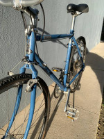 2019 Raleigh townie 55cm