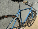 2019 Raleigh townie 55cm