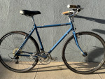 2019 Raleigh townie 55cm