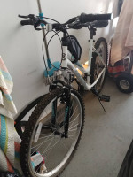 Roadmaster bike