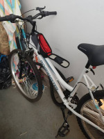 Roadmaster bike
