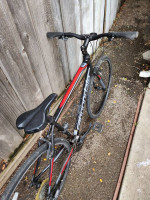 Cannondale Quick 5