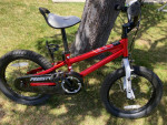 Royal baby kids bike with training wheels