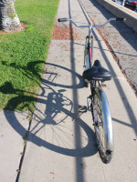1995 Schwinn classic cruiser single speed. Coaster brakes, good tires