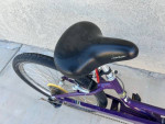 26” Barnebey