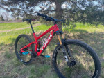 Trek Slash