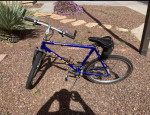 Blue Giant Iguana Bike