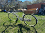 Ladies cruiser