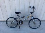 Mid School BMX Powerlite P17 Fireball Survivor