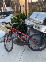 Giant rincon mt bike