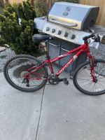 Giant rincon mt bike