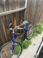 Schwinn cruiser bike