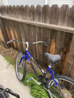 Schwinn cruiser bike