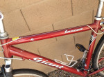 "Giant" Bike