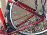 "Giant" Bike