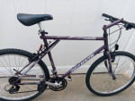 GT Tequesta Mountain bike. 21 speeds. Xlnt.