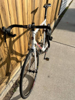 Motobecane Carbon Frame Road Bike