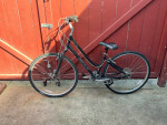 Giant Cypress Medium/17" Comfort Hybrid bike 200