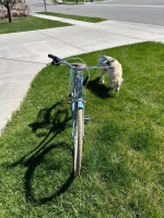 Townie Cruiser Bike