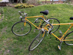 Fuji gran tourers - male and female