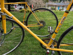 Fuji gran tourers - male and female
