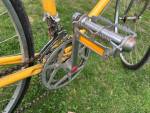Fuji gran tourers - male and female