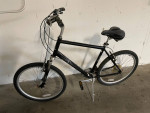 Bike, large (frame size XL22)