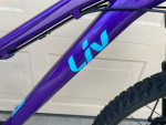 Liv Bliss Girls Womens Mountain Bike Size 13.5” XS 26” Wheels Excellent Cond
