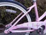 Giant Simple Single Womens Cruiser Bike