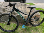 Specialized Mountain Bike - $390