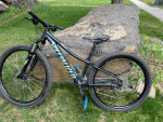 Specialized Mountain Bike - $390