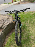 Specialized Mountain Bike - $390